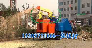 14447822137487669.jpg